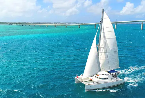 アクティビティ